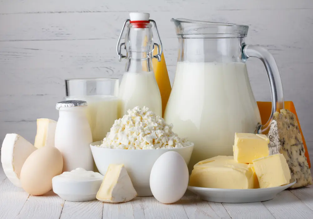 facts about paleo diet- dairy products